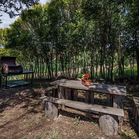 Oda ve Kahvaltı Titti *