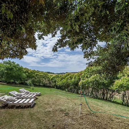 Oda ve Kahvaltı Titti Orciano di Pesaro