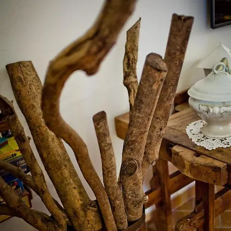 Titti Orciano di Pesaro