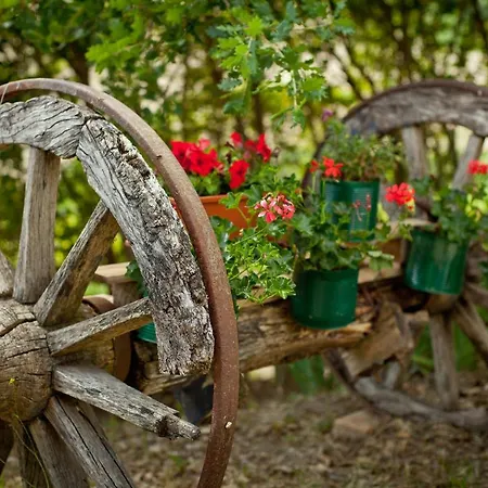Titti Bed and Breakfast
