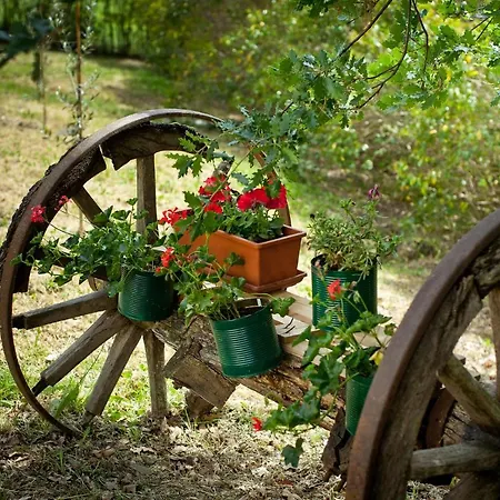 Titti Bed and Breakfast *